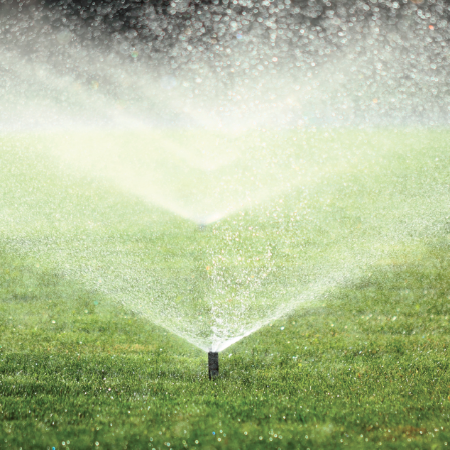 Drought Resistant Local, Safe & Sustainable